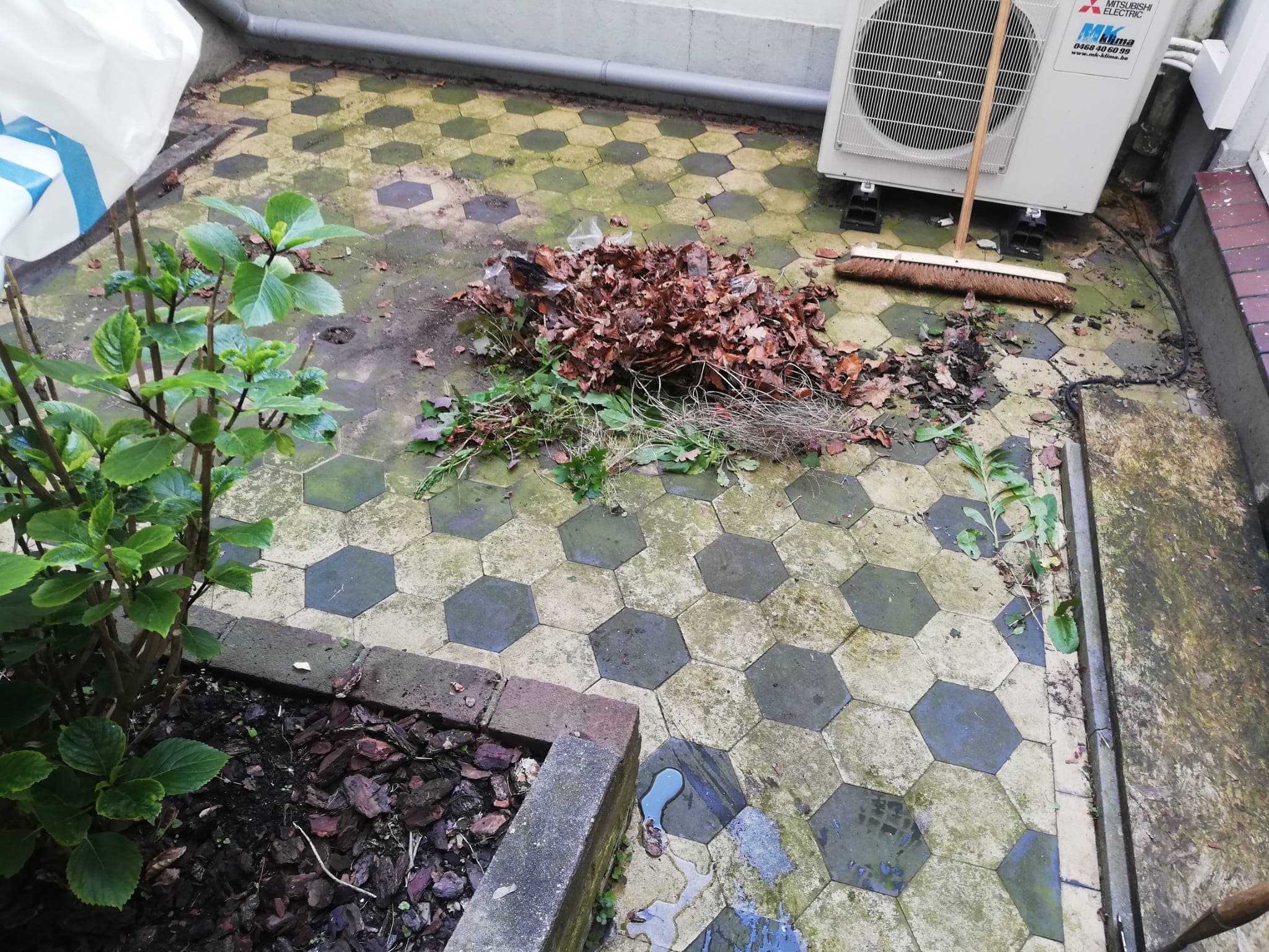 Onderhoud binnentuin