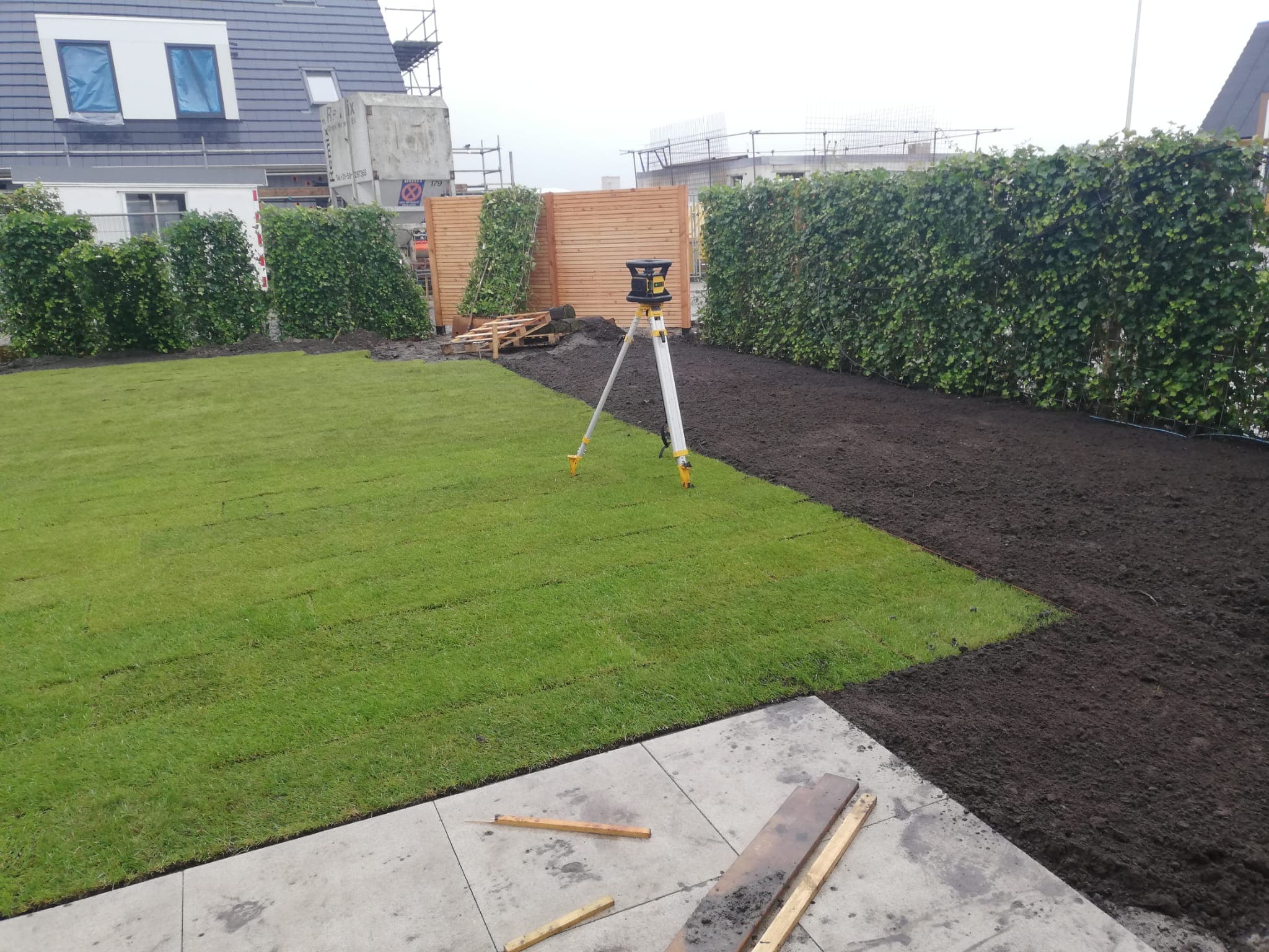 Aanleg gazon en hedera-haag